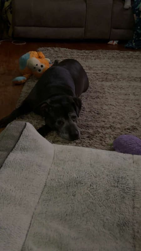 Xena